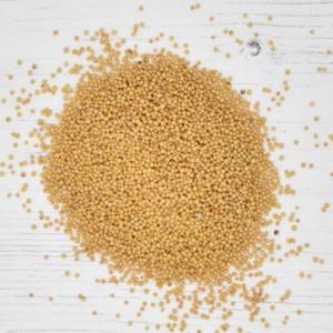 Yellow mustard seeds 100gmpkt