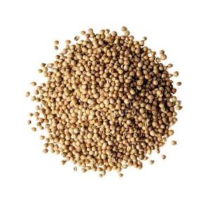 Whole Coriander seeds 2.5kg