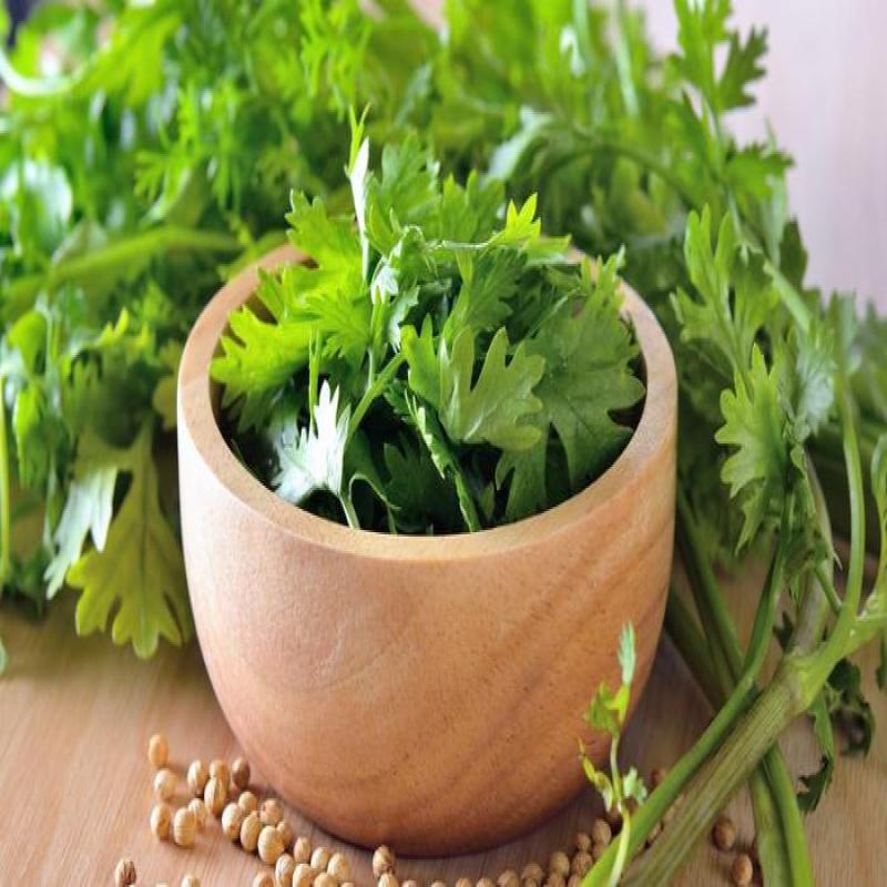 Coriander Leaves - Box