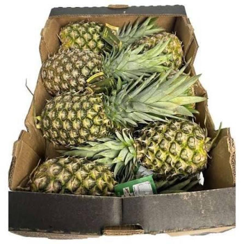 Pineapple Box - (8 -9 Pcs. approx)