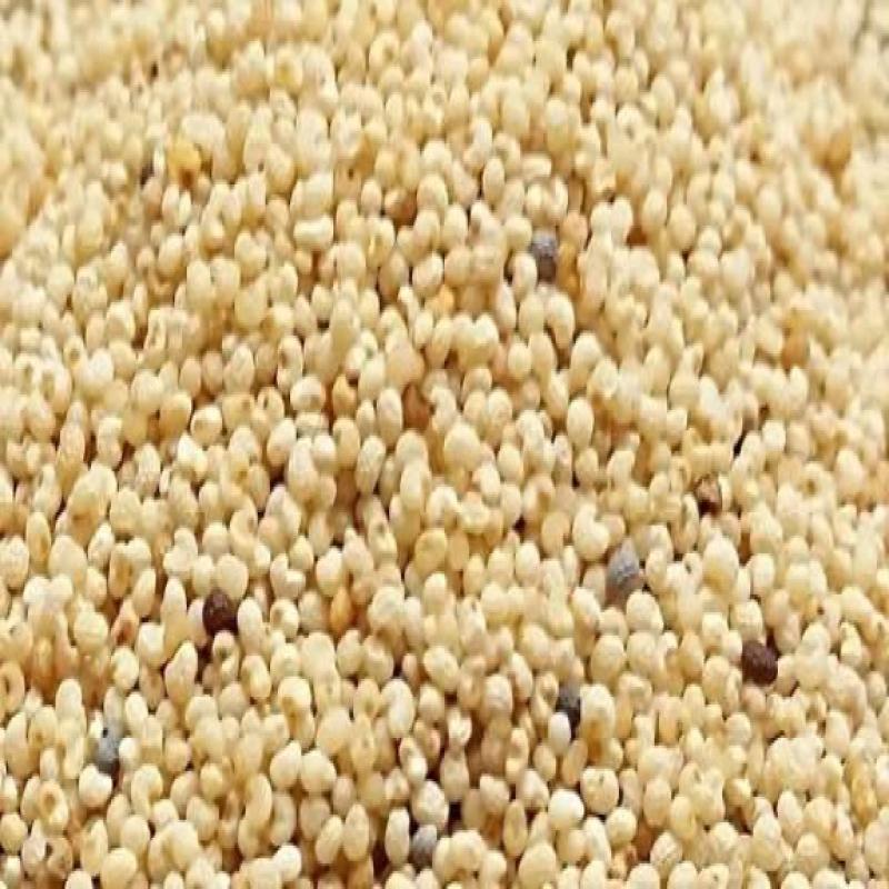 Abby poppy seeds 1kg