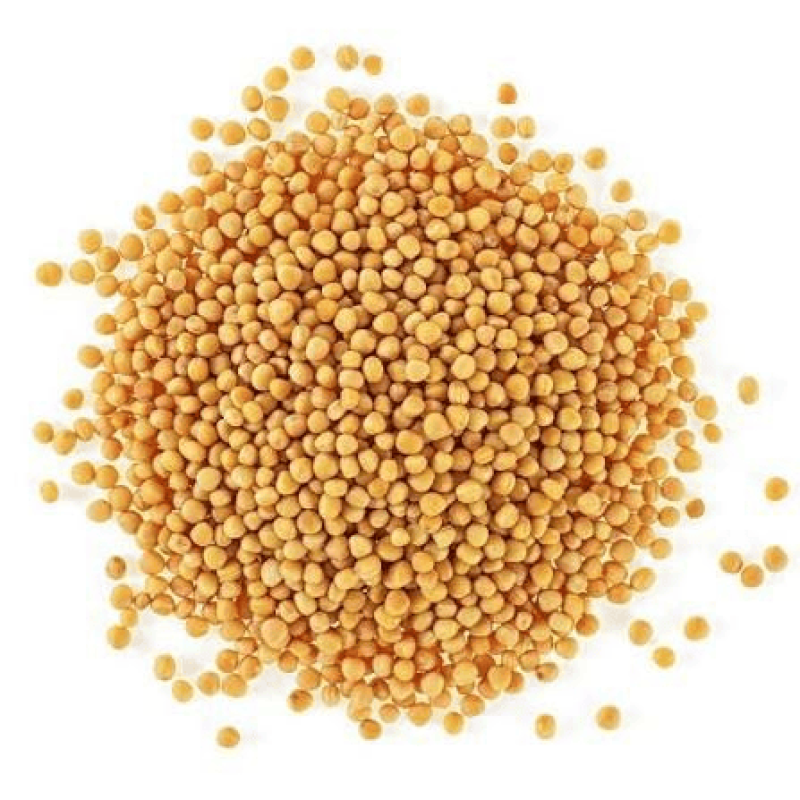 Abby yellow mustard seed 300gm